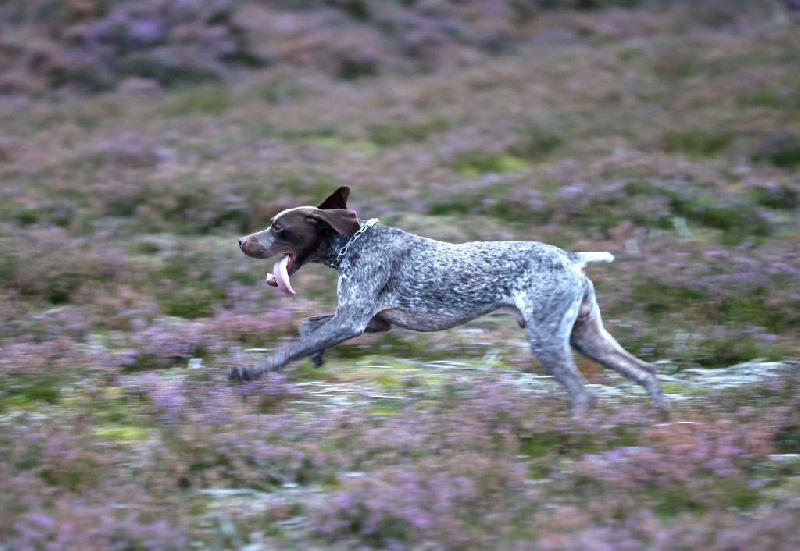 Publication : Santorin Auteur : JF