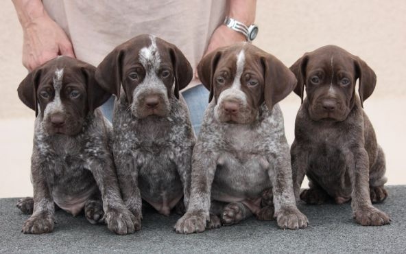 Publication : Santorin Auteur : JF