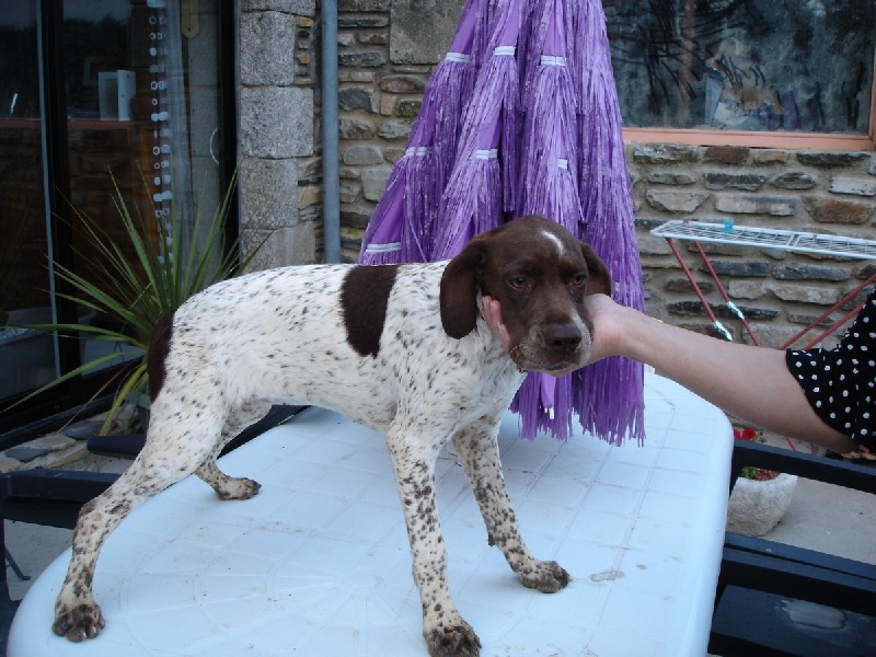 Publication : Santorin Auteur : JF