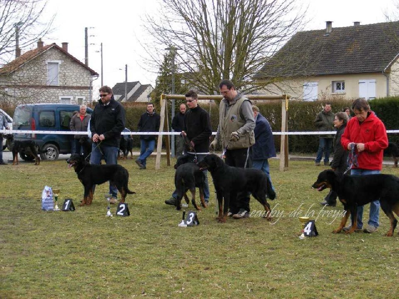 Publication : Santorin Auteur : N Denyer