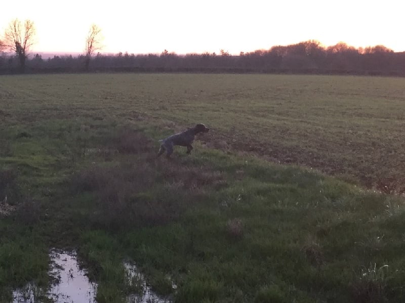 Publication : Santorin Auteur : JF