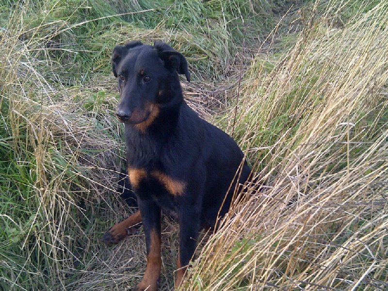 Publication : Santorin Auteur : N D