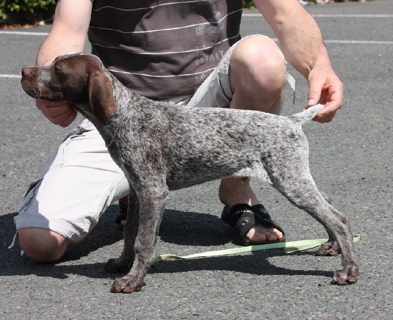 Publication : Santorin Auteur : JF