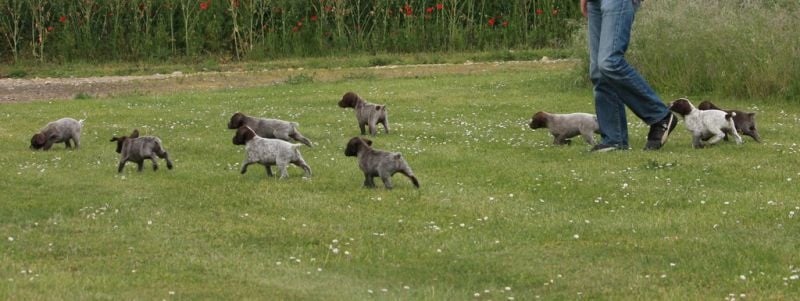 Publication : Santorin Auteur : JF