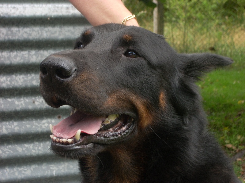 Publication : Santorin Auteur : LFC