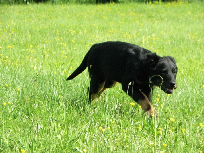 Publication : Santorin Auteur : N D