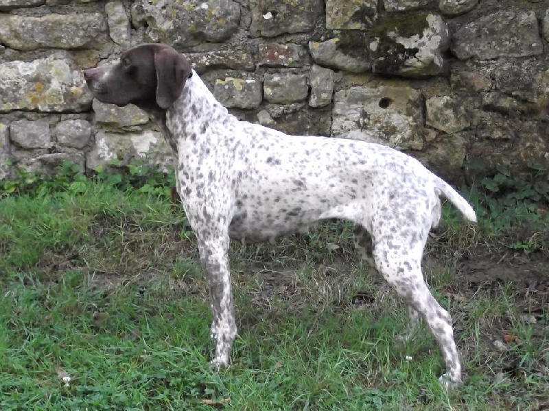 Publication : Santorin Auteur : AB