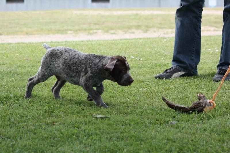 Publication : Santorin Auteur : JF