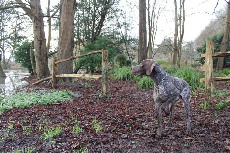 Publication : Santorin Auteur : JF