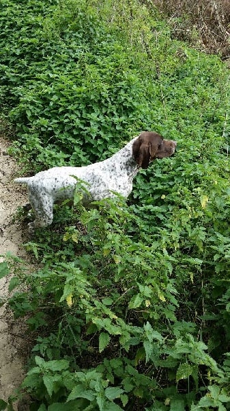 Publication : Santorin Auteur : AB