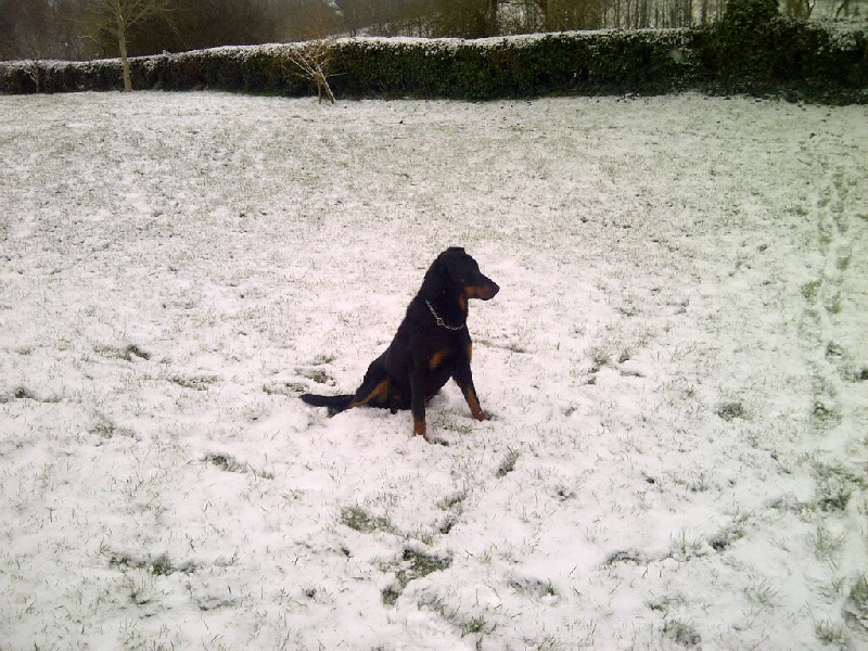 Publication : Santorin Auteur : N Denyer