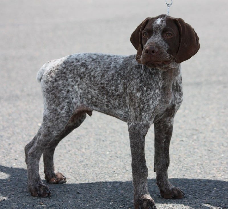 Publication : Santorin Auteur : JF