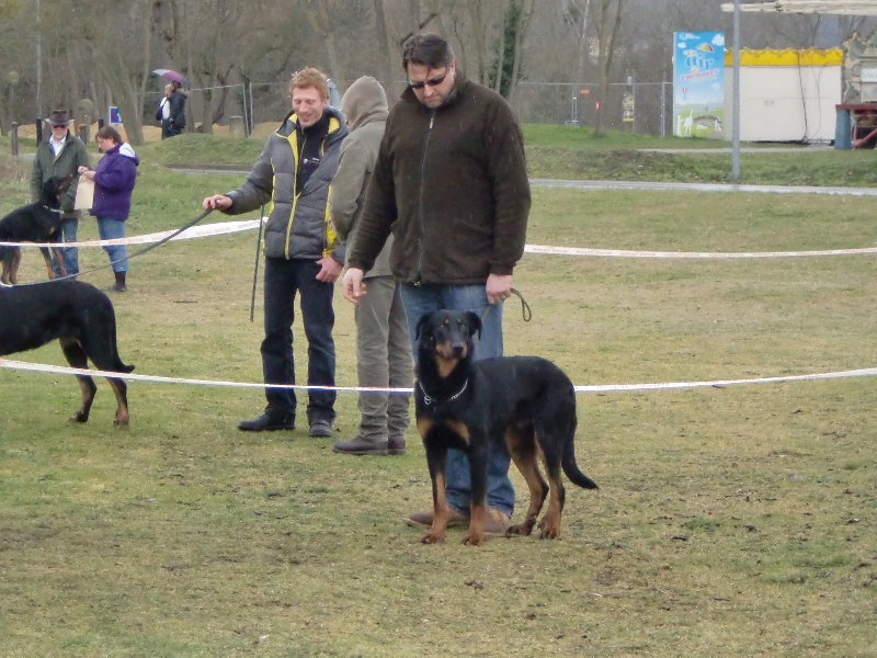 Publication : Santorin Auteur : N Denyer