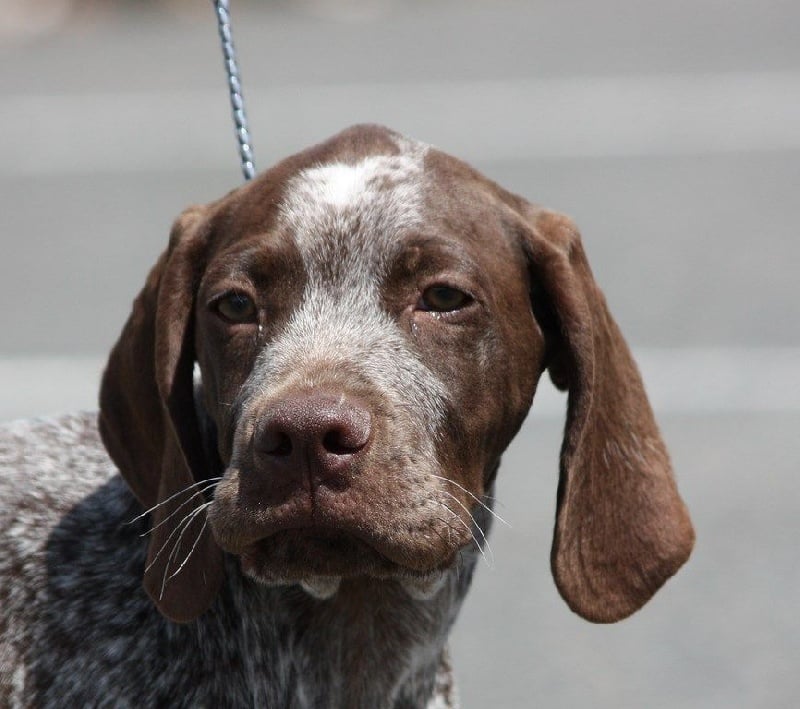 Publication : Santorin Auteur : JF