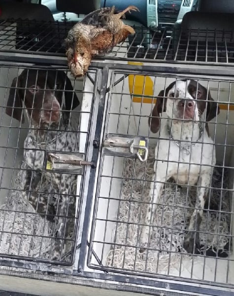 Publication : Santorin Auteur : AB