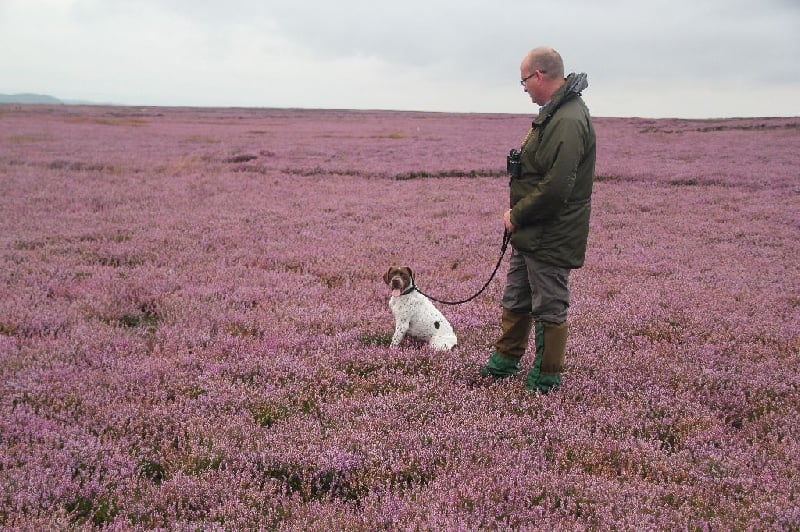 Publication : Santorin Auteur : JF