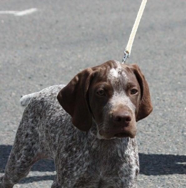 Publication : Santorin Auteur : JF