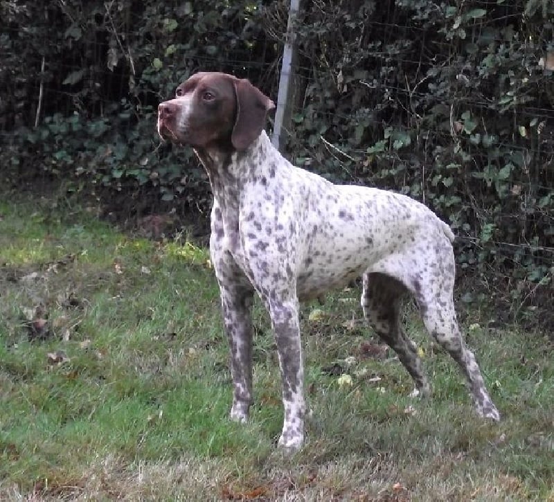 Publication : Santorin Auteur : AB