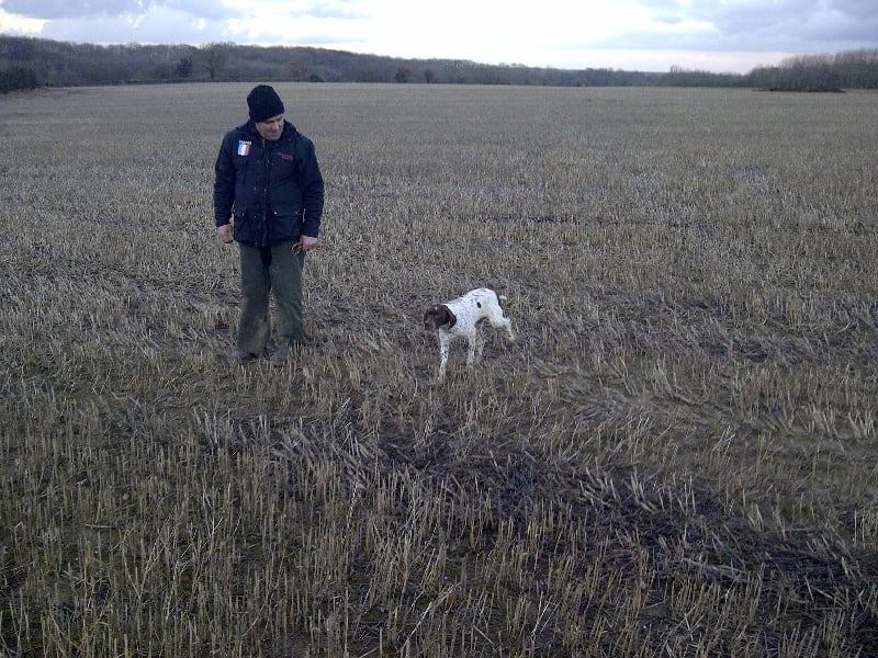 Publication : Santorin Auteur : JF