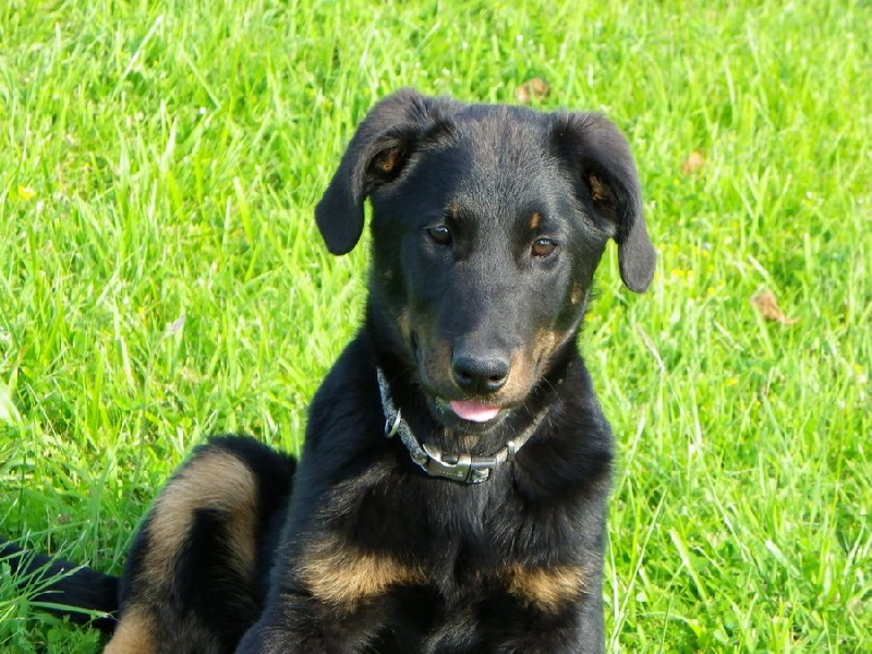 Publication : Santorin Auteur : N D