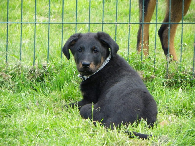 Publication : Santorin Auteur : N D