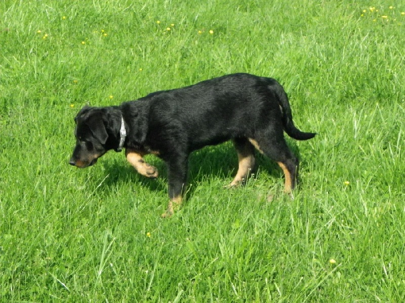 Publication : Santorin Auteur : N D