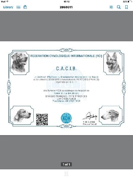 TR. CH. Indra de La Balingue - 1ERE EXC CAC et CACIB et MEILLEUR DE RACE