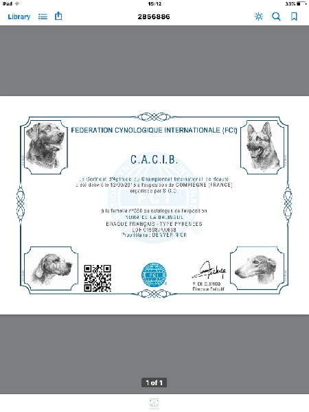 TR. CH. Indra de La Balingue - 1ERE EXC CAC et CACIB MEILLEUR DE RACE