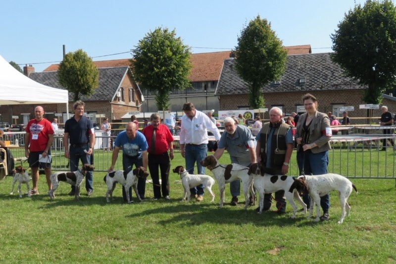 TR. CH. Indra de La Balingue - 1ere EXC CAC - SPECIALE - et Meilleur de Race - 3eme Groupe 7