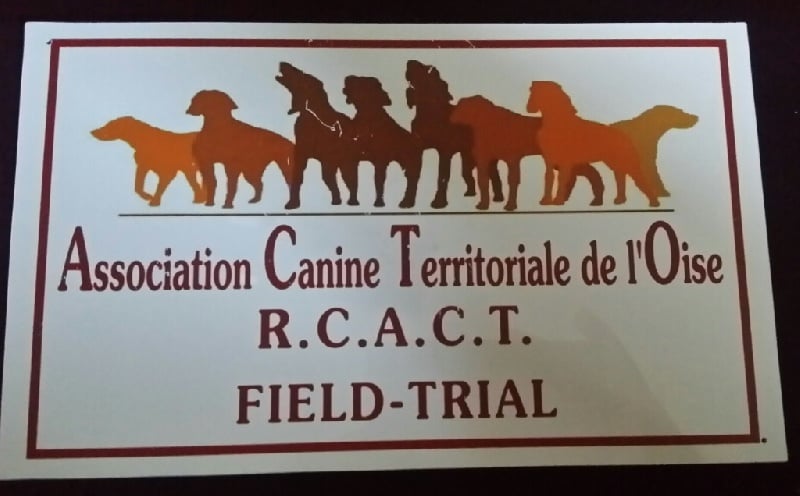 TR. CH. Indra de La Balingue - RCACT