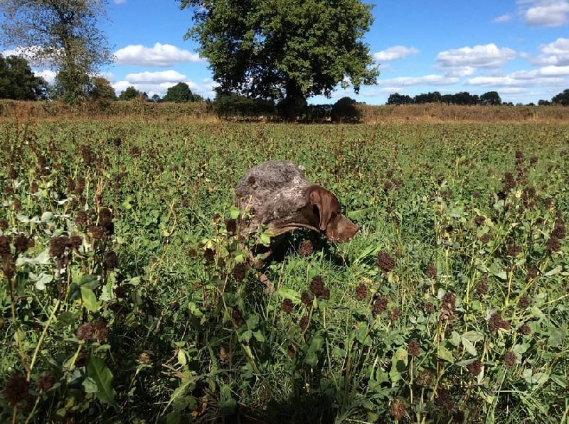 Joris dit jam De Galeaven - Sélectionnée pour la Coupe de France des Jeunes