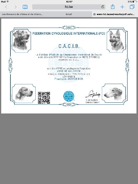 Joris dit jam De Galeaven - 1ere EXC CAC et CACIB Meilleur de sexe opposé