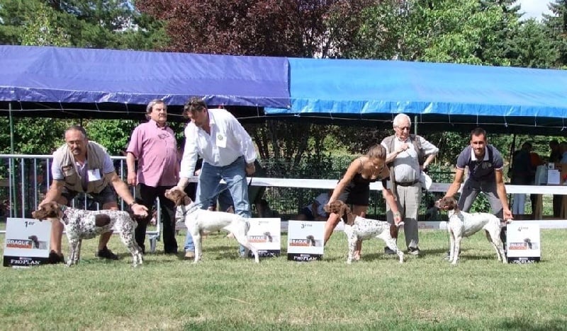 TR. CH. Indra de La Balingue - 2 eme EXCELLENT Classe Travail