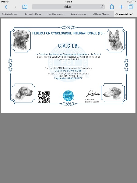 Gessy de La Balingue - 1ere EXC. CAC / CACIB et Meilleur femelle