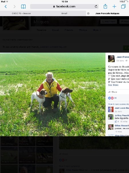 TR. CH. Indra de La Balingue - RCACT