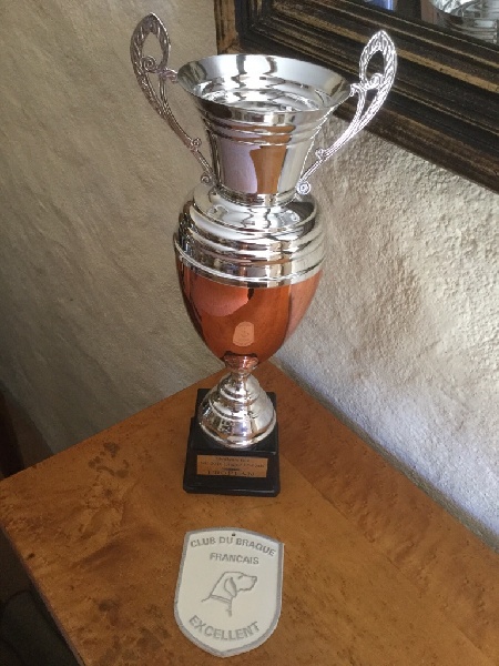 TR. CH. Indra de La Balingue - Meilleure tête de Nationale d'Elevage