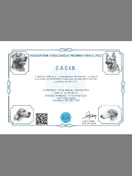 TR. CH. Indra de La Balingue - 1ere EXC CAC CACIB et MEILLEUR DE RACE