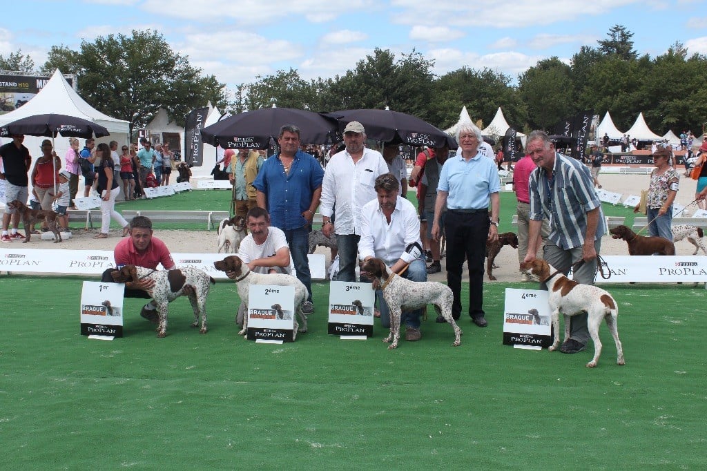 Gessy de La Balingue - 3eme EXC Classe Ouv.