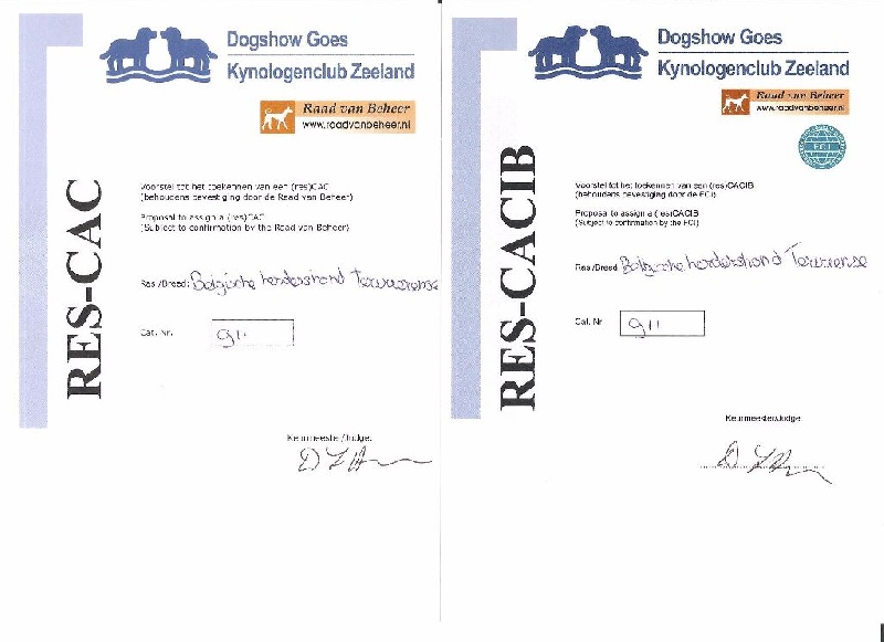 CH. Melissane Du Puy Des Louves - 1ère Excellent - classe Ouverte - RCAC - RCACIB