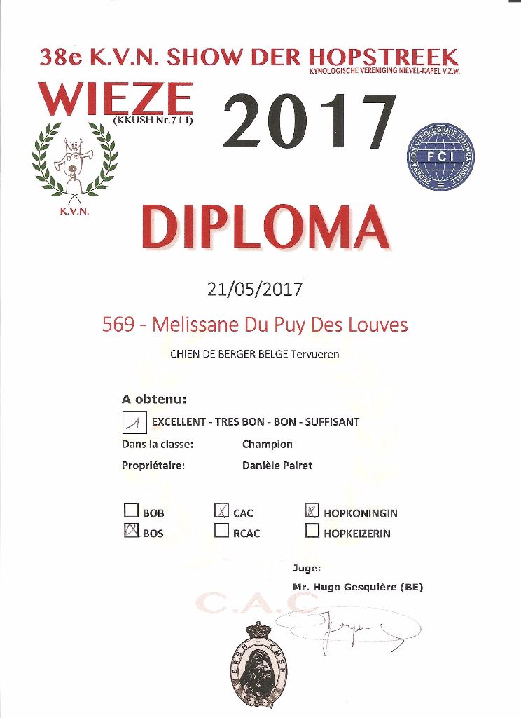 CH. Melissane Du Puy Des Louves - 1ère Excellente - Classe Champion - CAC - BOS