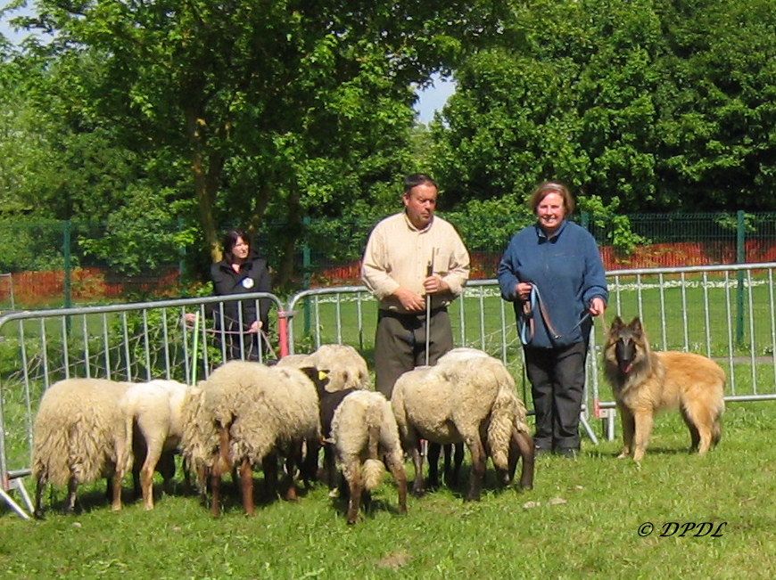 Peyo Du Puy Des Louves - CANT Apte (avec cotations maximales partout)