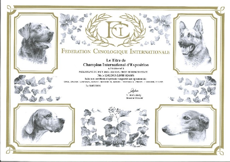 CH. Melissane Du Puy Des Louves - CH.I.E. Championne Internationale d'Exposition