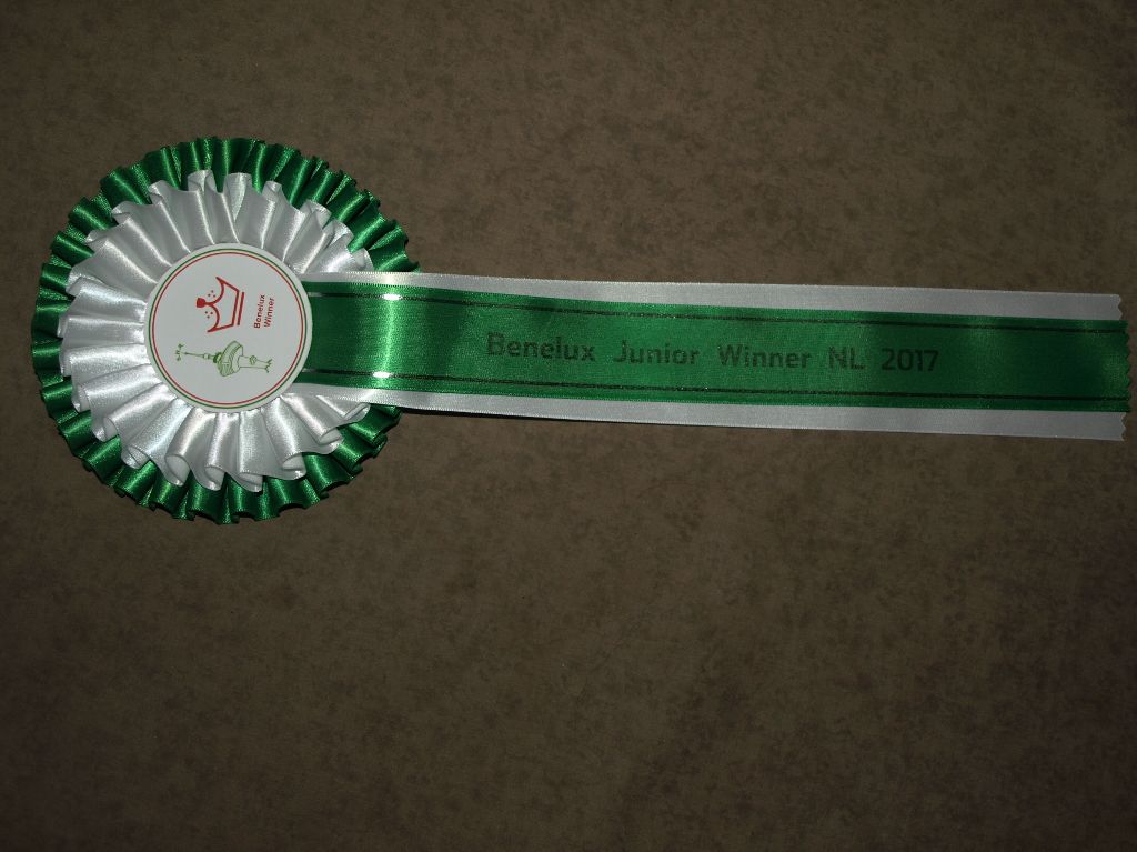 Peyo Du Puy Des Louves - 1er Excellent - Classe Jeune - Meilleur Jeune - Benelux Junior Winner NL 2017