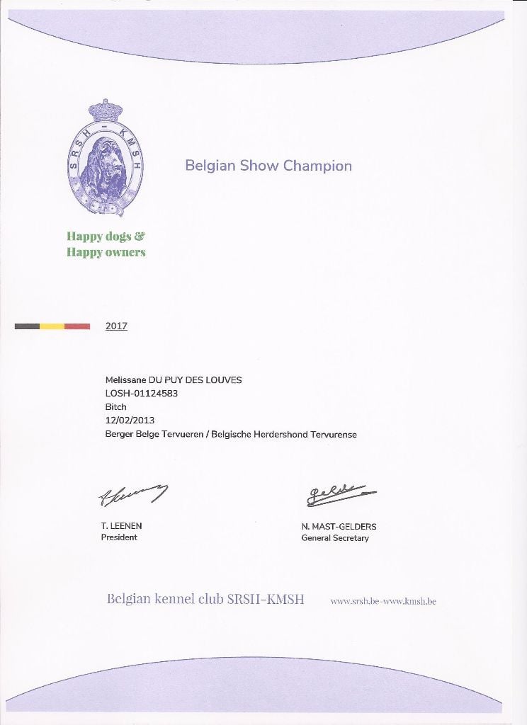 CH. Melissane Du Puy Des Louves - Championne de Belgique d'Exposition