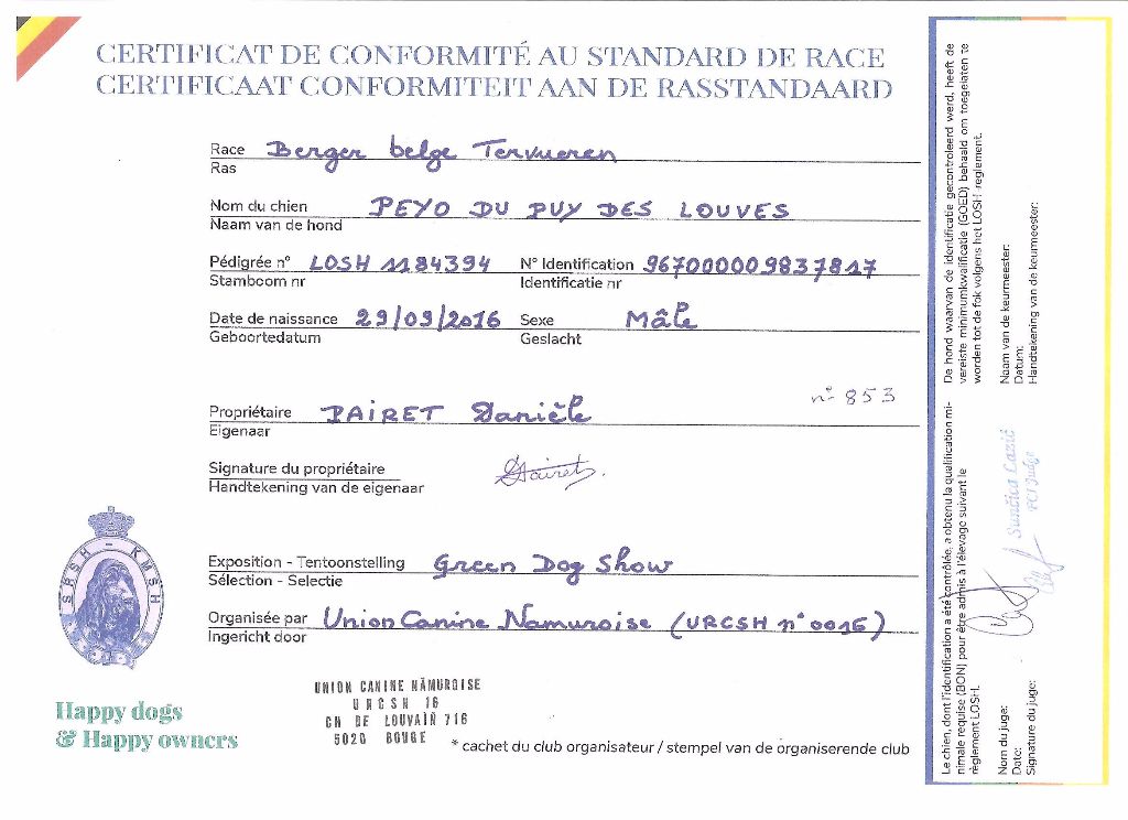 Peyo Du Puy Des Louves - Certifié conforme au standard de race
