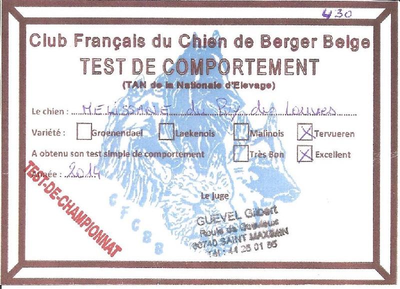 CH. Melissane Du Puy Des Louves - TAN Championnat Excellent