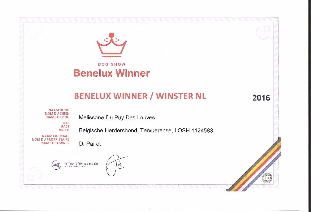 CH. Melissane Du Puy Des Louves - Benelux Winner NL 2016