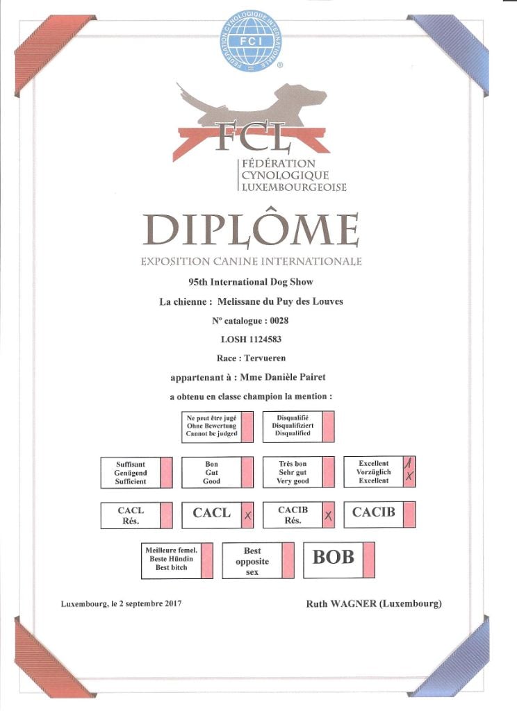 CH. Melissane Du Puy Des Louves - 1ère Excellente - Classe Champion - CACL