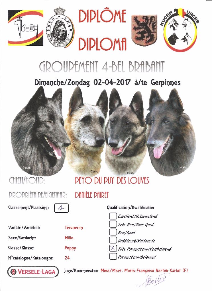 Peyo Du Puy Des Louves - 1er Très Prometteur - Classe Puppy - Best Puppy et Best Puppy in Show