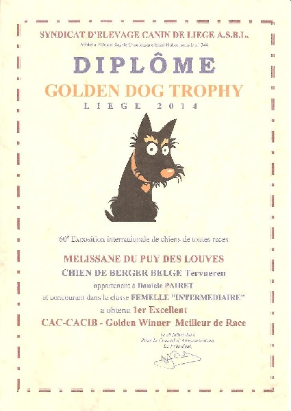 CH. Melissane Du Puy Des Louves - 1ère Excellente - classe Intermédiaire CAC-CACIB-Golden Winner BOB